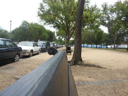 Park bench at the National Mall
