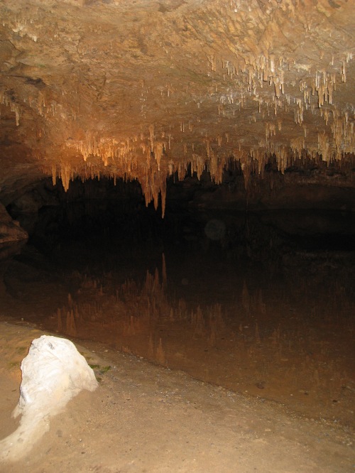 Reflecting pond in Luray Caverns